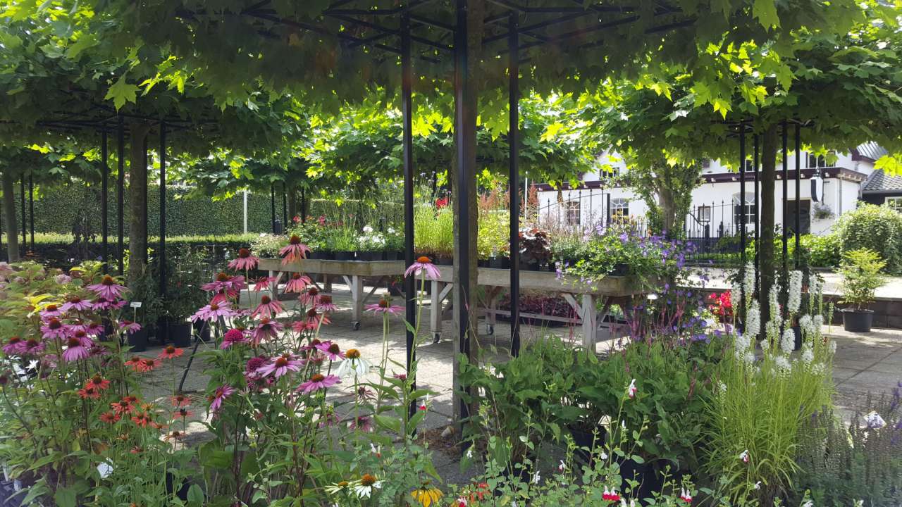 Tuincentrum in Apeldoorn