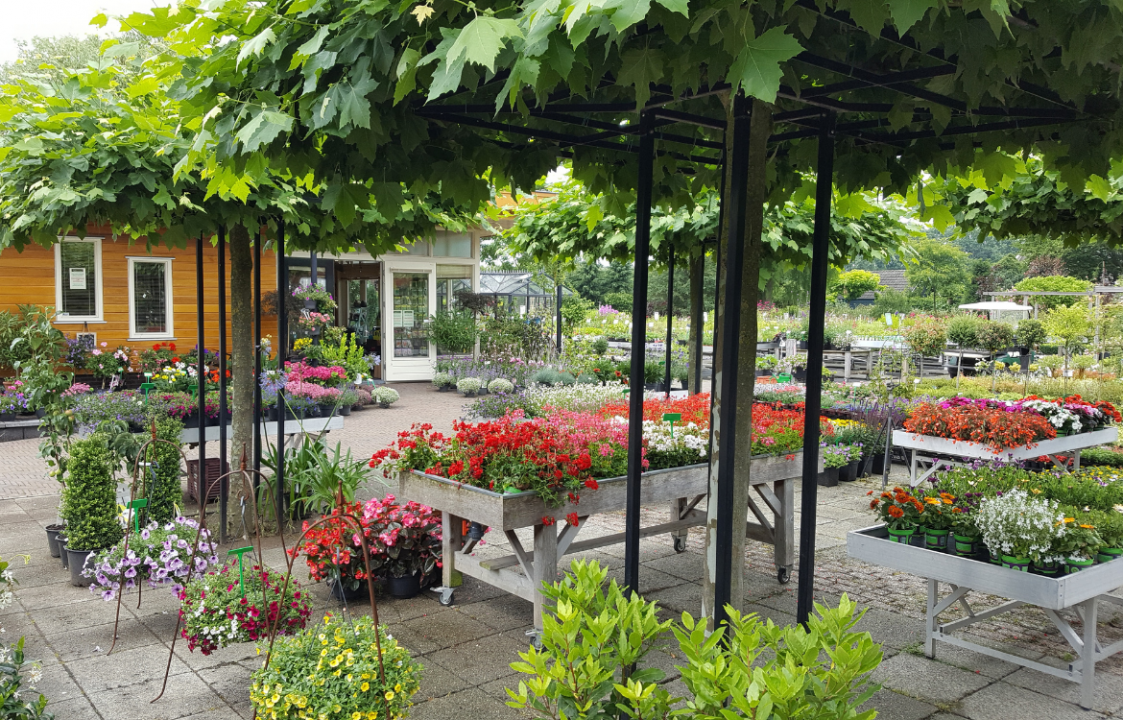 Koop je tuinplanten bij Tuincentrum Tullekensmolen nabij Apeldoorn