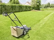 Gazononderhoud Gazononderhoud