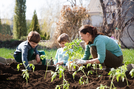 7 voordelen van een moestuin