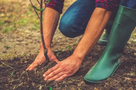 Het aanplantseizoen is begonnen!