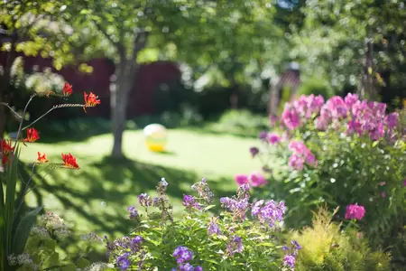 Zomer tips voor de tuin