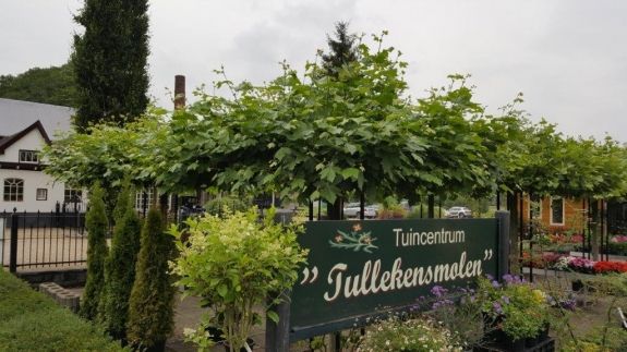 Tuincentrum Tullekensmolen