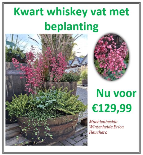 1/4 Whiskeyvat met beplanting - afbeelding 1