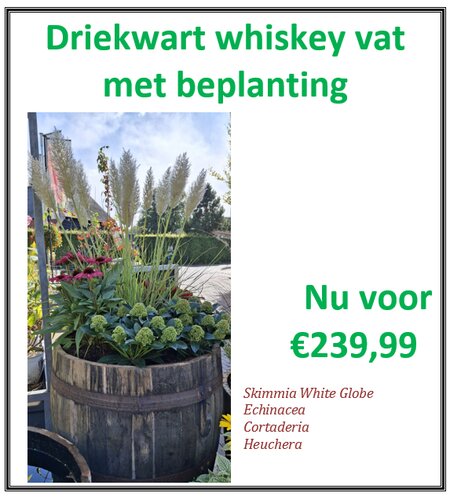3/4 Whiskey vat met beplanting - afbeelding 1