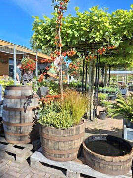 3/4 Whiskey vat met Fruitige beplanting - afbeelding 3