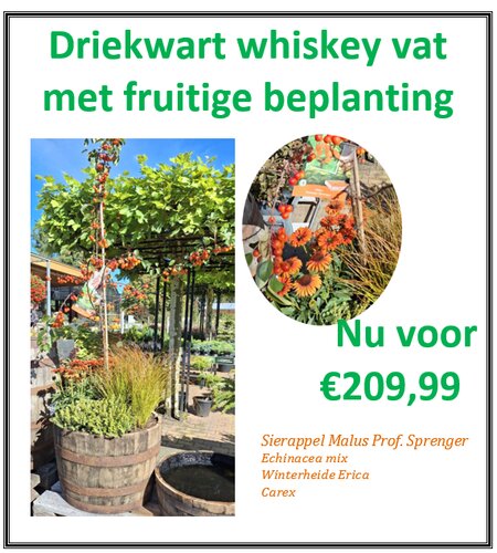 3/4 Whiskey vat met Fruitige beplanting - afbeelding 1