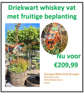 3/4 Whiskey vat met Fruitige beplanting