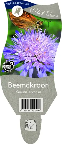 Beemdkroon