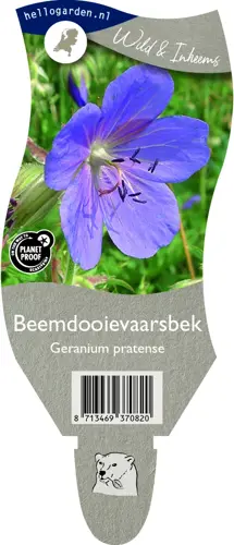 Beemdooievaarsbek