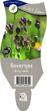 Bevertjes