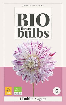 Bio Dahlia Avignon