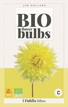 Bio Dahlia Bilbao