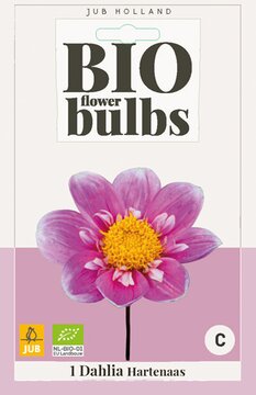 Bio Dahlia Hartenaas