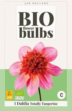 Bio Dahlia Totally Tangerine