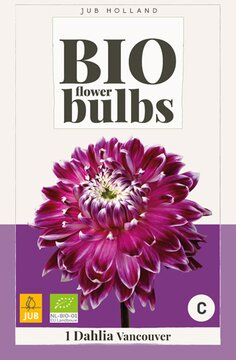 Bio Dahlia Vancouver