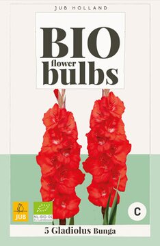 Bio Gladiolus Bunga