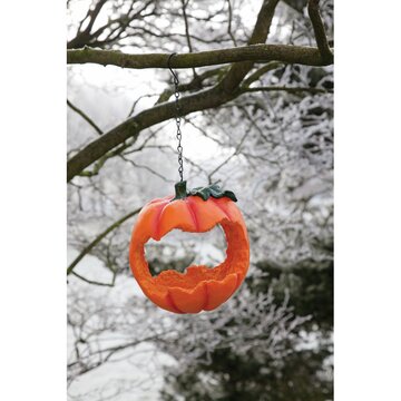 Bird Feeder Pompoen - afbeelding 2
