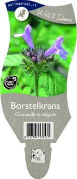 Borstelkrans