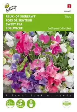 Buzzy® Lathyrus, Reuk- of siererwt Bijou