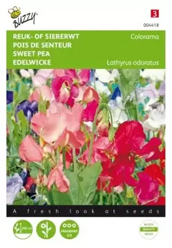 Buzzy® Lathyrus, Reuk- of siererwt Colorama