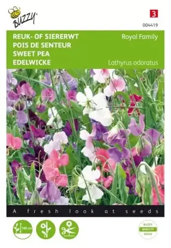 Buzzy® Lathyrus, Reuk- of siererwt Royal Family gemengd