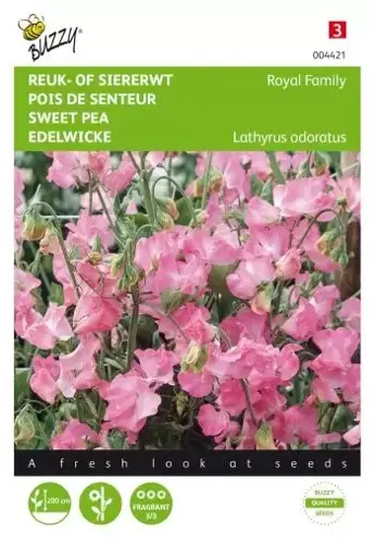Buzzy® Lathyrus, Reuk- of siererwt Royal Family roze