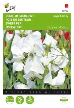 Buzzy® Lathyrus, Reuk- of siererwt Royal Family Wit