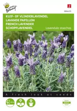 Buzzy® Lavandula, Kuif- of Vlinderlavendel