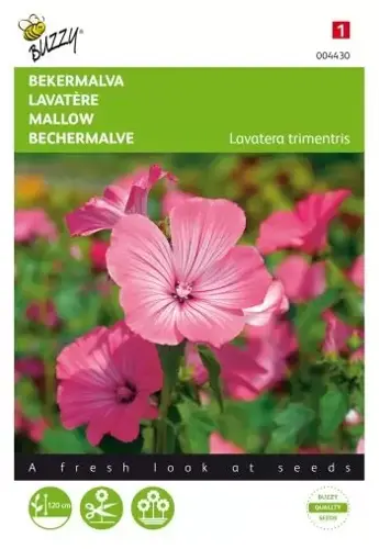 Buzzy® Lavatera, Bekermalva Roze/Rood