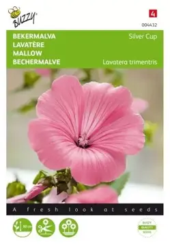 Buzzy® Lavatera, Bekermalva Silver Cup