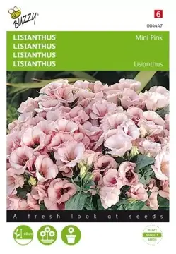 Buzzy® Lisianthus mini roze