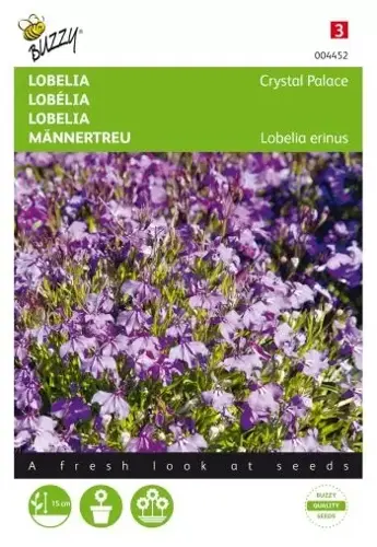 Buzzy® Lobelia Crystal Palace