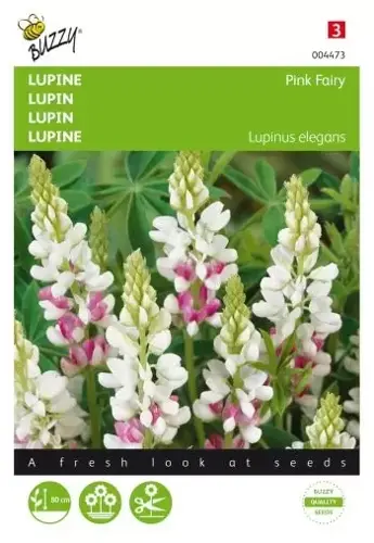 Buzzy® Lupinus, Lupine Rose laag Pink Fairy