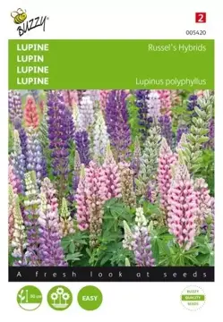 Buzzy® Lupinus, Lupine Russel’s Hybrids gemengd