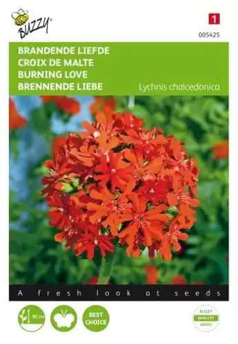 Buzzy® Lychnis, Brandende Liefde