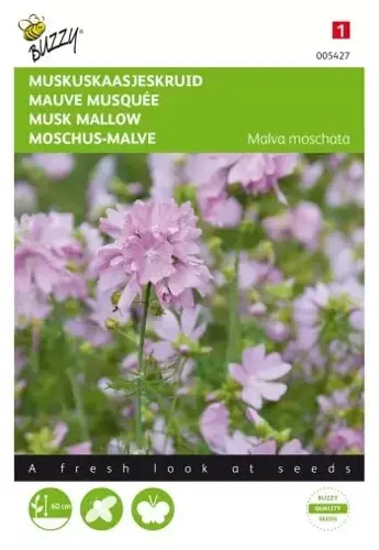 Buzzy® Malva, Muskus Kaasjeskruid roze