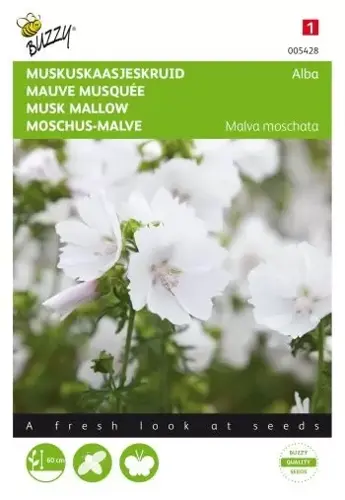 Buzzy® Malva, Muskuskaasjeskruid Alba wit