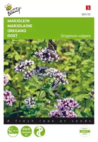 Buzzy® Marjolein - Oregano