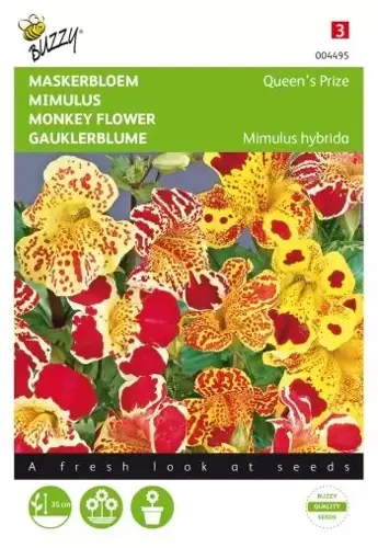 Buzzy® Mimulus, Maskerbloem Queen’s Prize gemengd