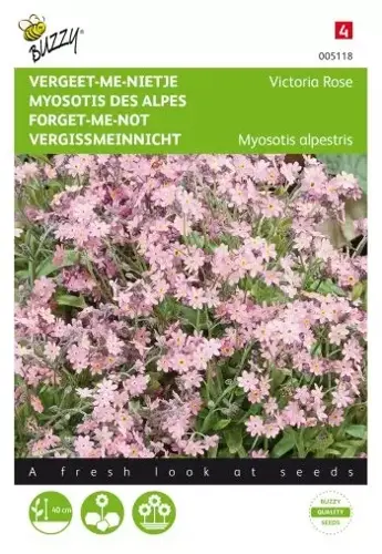 Buzzy® Myosotis, 'vergeet-me-nietje' Victoria Rose