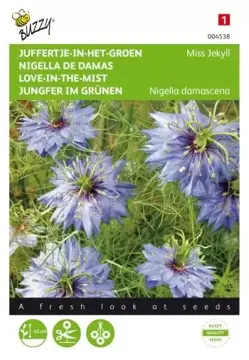 Buzzy® Nigella, Juffertje-in-het-groen Miss Jekyll blauw