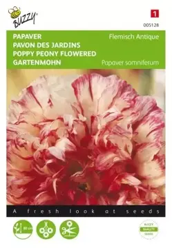 Buzzy® Papaver, Slaapbol Flemish Antique