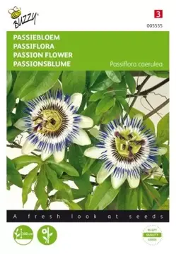 Buzzy® Passiflora, Passiebloem