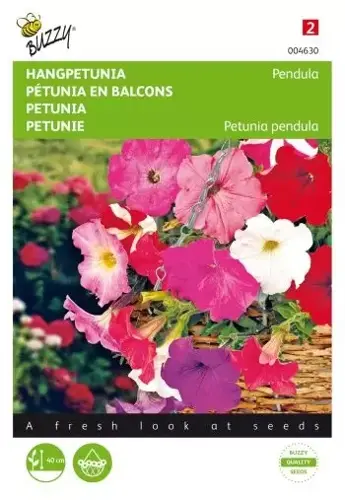 Buzzy® Petunia, hangend gemengd