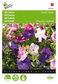 Buzzy® Petunia laag gemengd