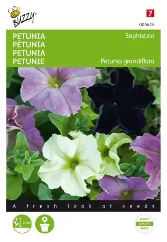 Buzzy® Petunia Sophistica gemengd