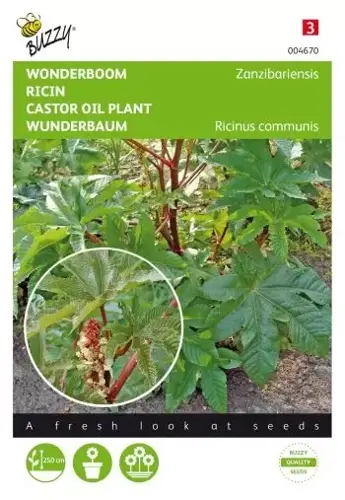 Buzzy® Ricinus, Wonderboom gemengd