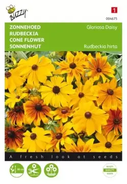 Buzzy® Rudbeckia, Zonnehoed Gloriosa Daisy