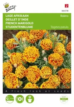 Buzzy® Tagetes, lage Afrikaan Bolero